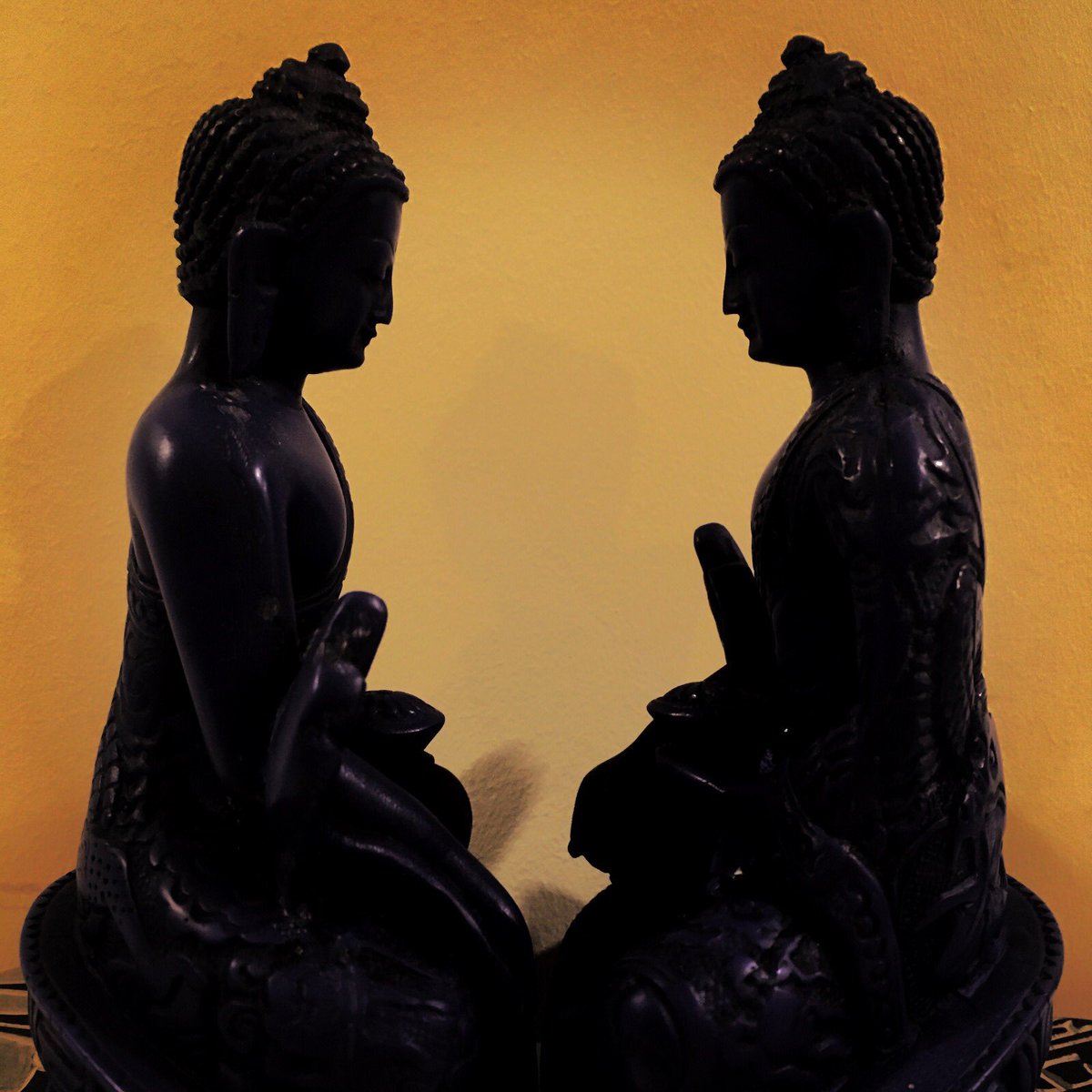 Emma Jane Hudson tweet media