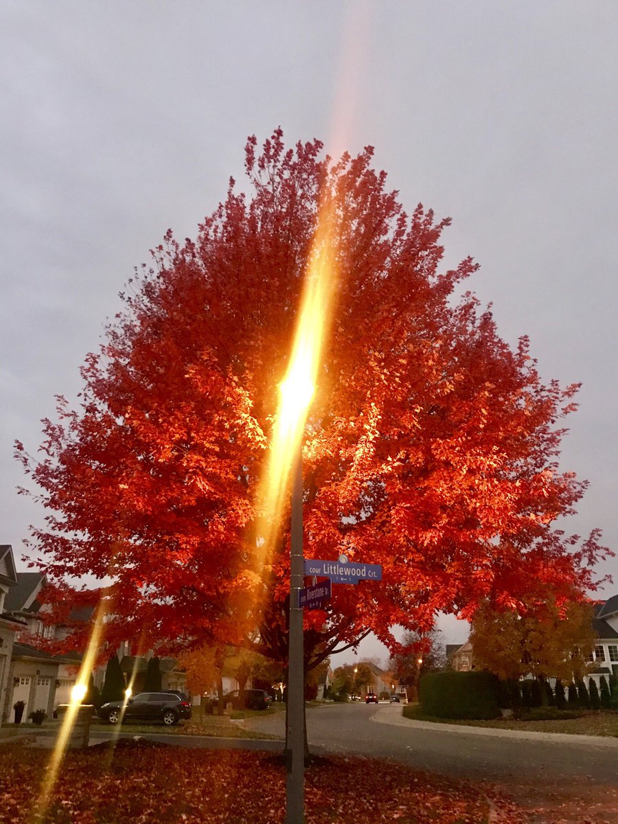 What a beautiful morning here in the Nations Capital! <a href="/weatherchannel/">The Weather Channel</a> <a href="/ctvottawa/">CTV Ottawa</a> <a href="/OttawaCitizen/">Ottawa Citizen</a>