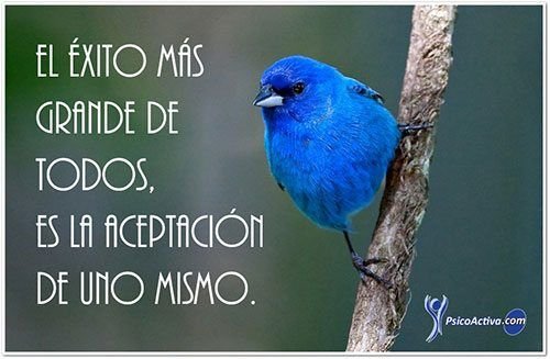 icpsbme's tweet photo. BUENOS DÍAS... https://t.co/4cQmw1gfvS