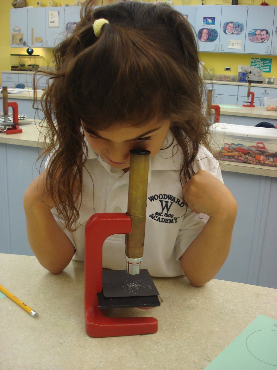 David Rogie tweet media