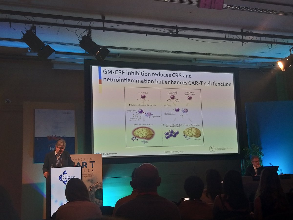 DrSabelaAlvarez's tweet image. @DrMiguelPerales presenta durante el Congreso de la Sociedad Española de Hematología, como la inhibición de #GMCSF reduce el #CRS y la #Neuroinflamación y además potencia la función de las #CART céls. Una nueva estrategia para optimizar el tratamiento
 _
@sloan_kettering @sehh_es