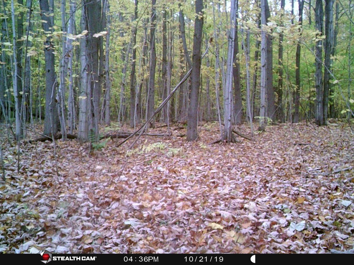 Larry Miller Retired tweet media