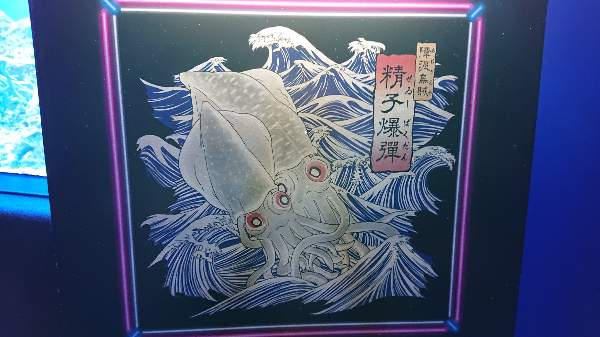تويتر 日本いか連合 公式 على تويتر サンシャイン水族館の 性いっぱい展 18 30から始まるちょっと大人な展示 まずアオリイカの絵 しっかりオスとメスが描き分けられているの最高ですよね 背中の模様が点だとメス 線だとオスです オスがメスを優しく