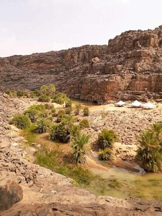 زر موريتانيا