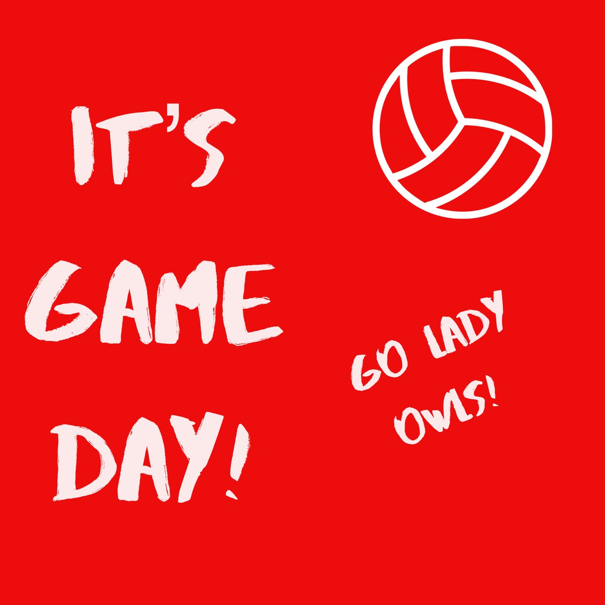 Lady Owls Volleyball tweet media