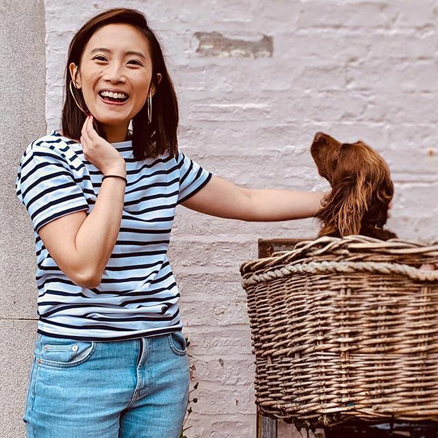MonBretonLondon's tweet photo. Bonjour Breton-bassadors! The dog days are over! Loving @florachen12 sporting our striped T #stripes #flora #spaniel #monbreton https://t.co/IB8FqWQuoA https://t.co/SXJ6KNjhZF