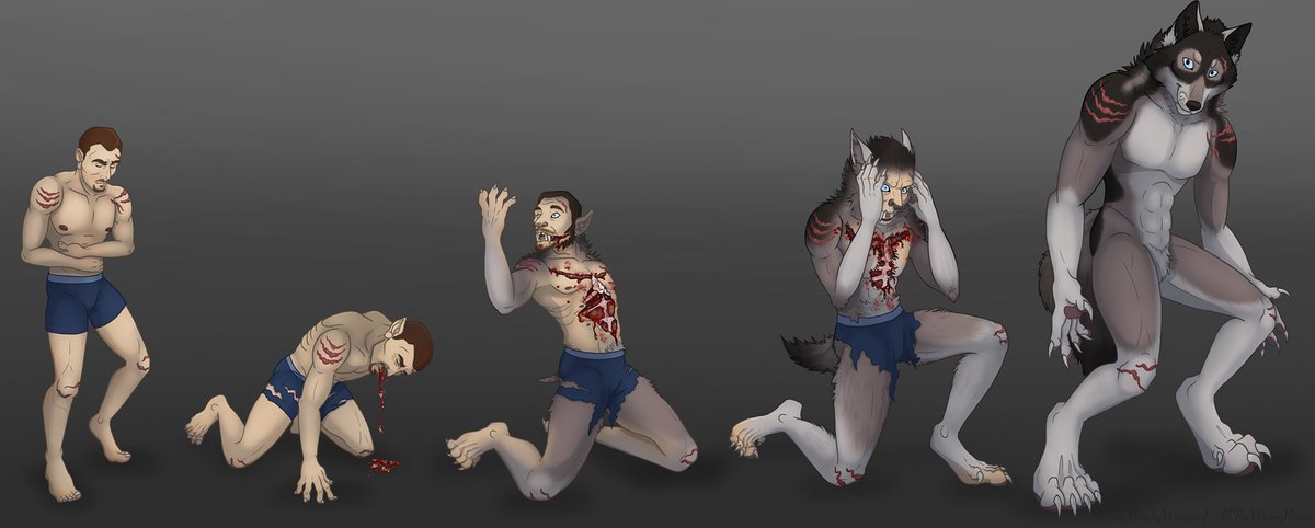 Werewolf transformation commission batch for @RakanHowls! 