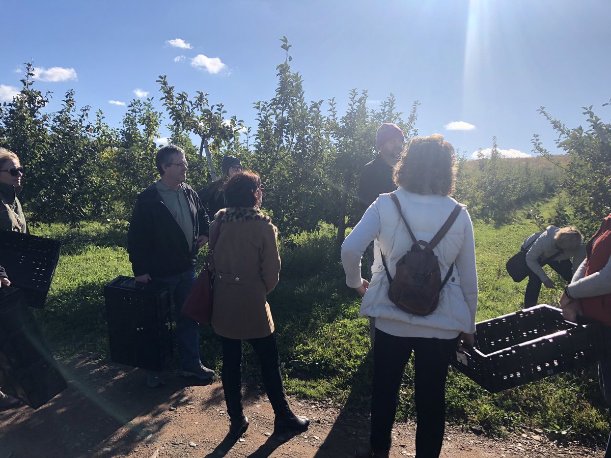 devourfest's tweet photo. Produce tastes better when you pick it yourself 😋 thanks @FoundNS, @TaprootFarms, SOUP, &amp; @KingsCountyNS for a great morning of gleaning! #Devour2019 https://t.co/k7spyl4BHG