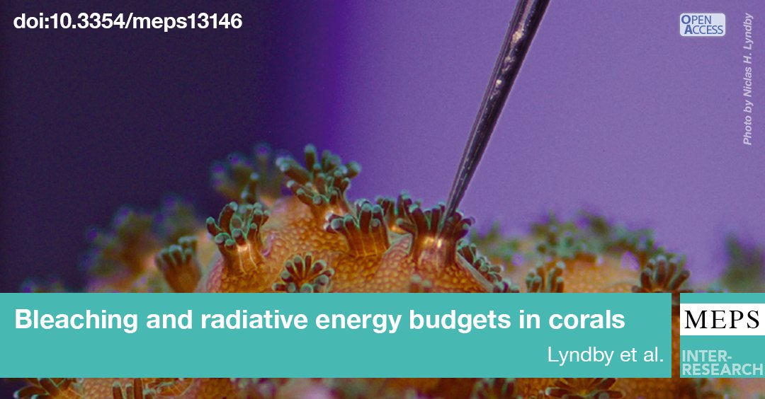 New MEPS vol. 629 available online! Check out our #FeatureArticle:  

Radiative energy budgets established for heterotrophically fed and starved corals indicate feeding state affect bleaching tolerance and photosynthetic energy efficiency in P. damicornis. bit.ly/meps_629_1