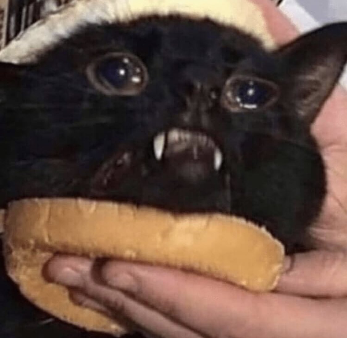 datguy115's tweet image. #ThursdayThoughts 
What sauce?