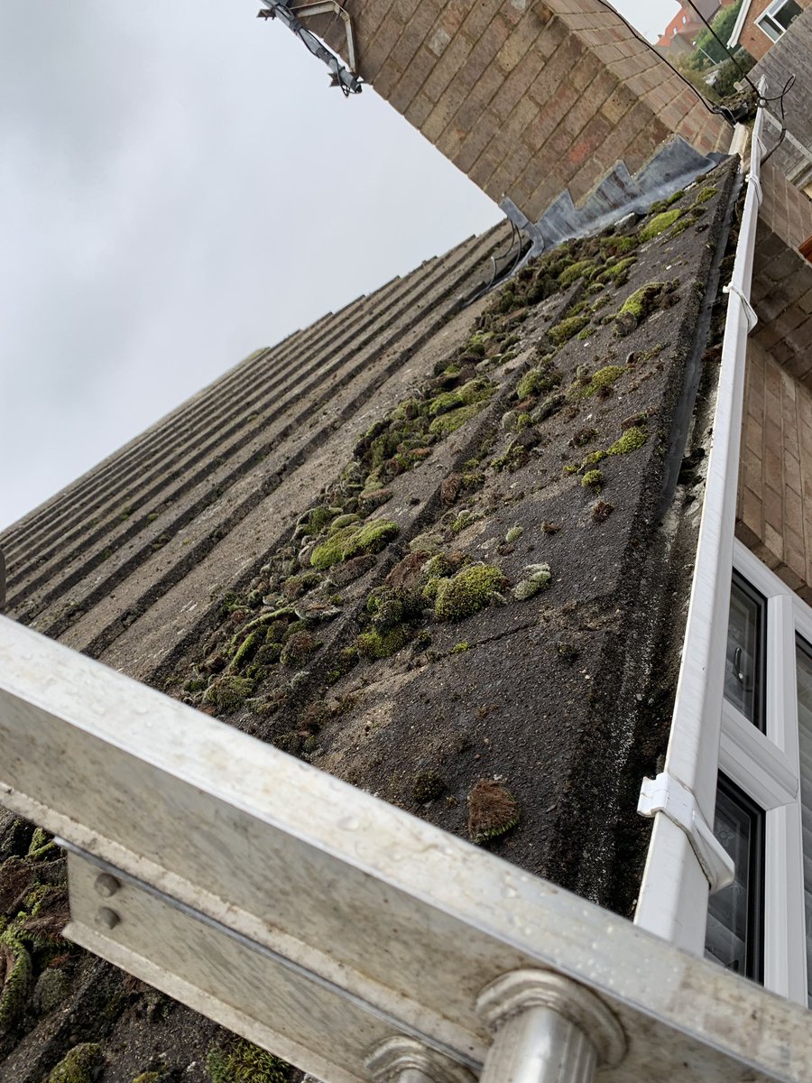 Started a Roof Clean Today! Few progress shots, had to call it a day when the rain came down but back tomorrow to finish off! 

Keep an eye out for the after images to come!

#skyscraper #roof #clearance #moss #guttercleaning #roofcleaning #autumn #skyvac #leaves @spinaclean