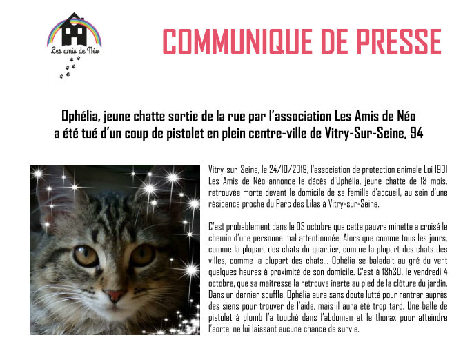 Rédaction d'un communiqué sur la mort d'Ophélia, chatte tuée par balle en pleine ville...  #animaux #protectionanimale #maltraitance #VIOLENCES  #lesamisdeneo #armes #portdarmes #vitrysurseine #parcdeslilas #actedecruaute drive.google.com/open?id=1H5zkR…