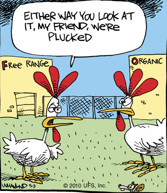 OrganicTrade's tweet photo. #NOSB deals w/ tough #organic livestock issues. Feedback & perspective from organic livestock producers wanted! #PublicProcess #ContinuousImprovement #KeepOrganicStrong #YourVoiceMatters https://t.co/DUTtbiyjHs