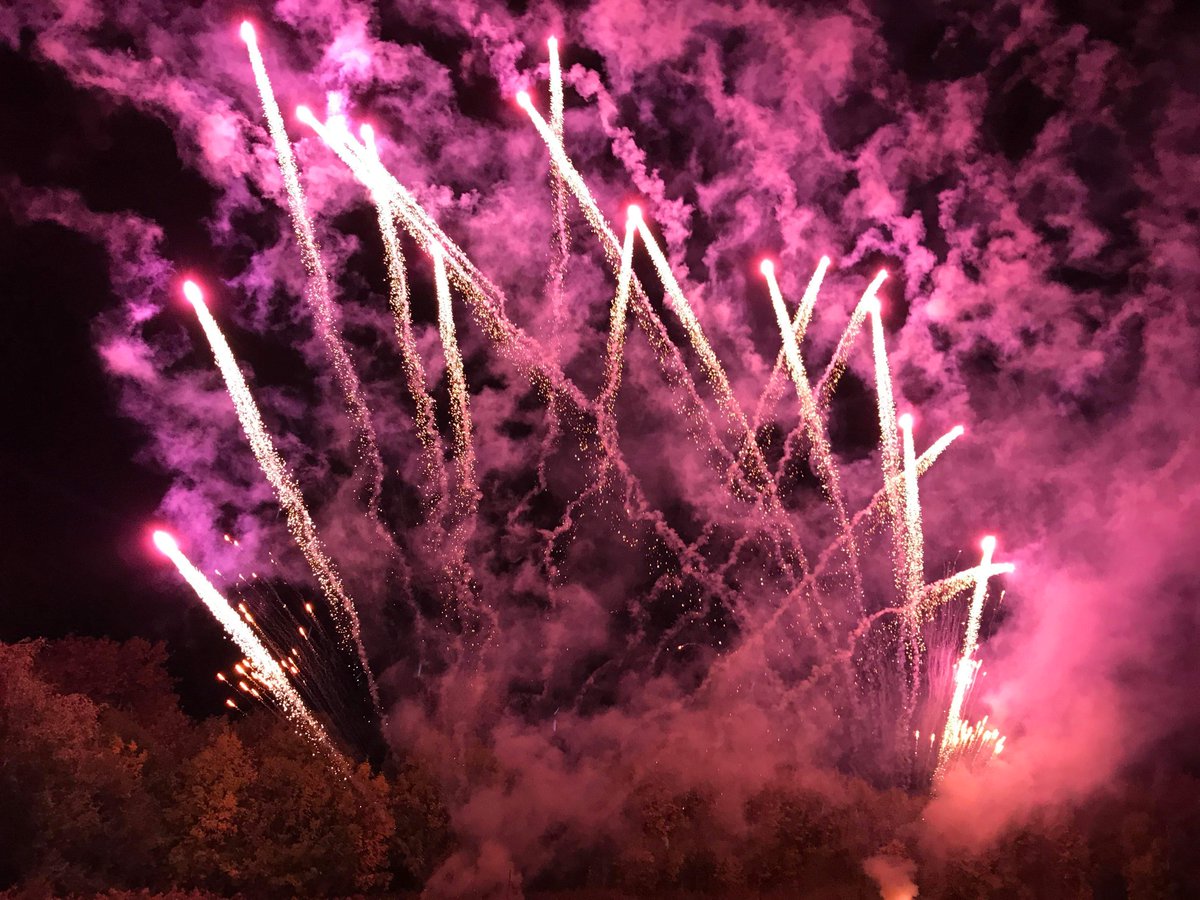 Pyro 2000 tweet media