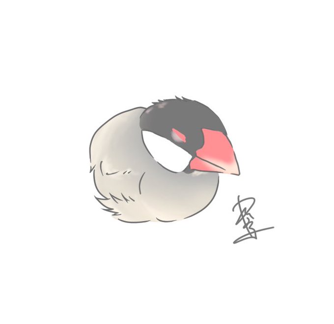 文鳥の日のtwitterイラスト検索結果 古い順