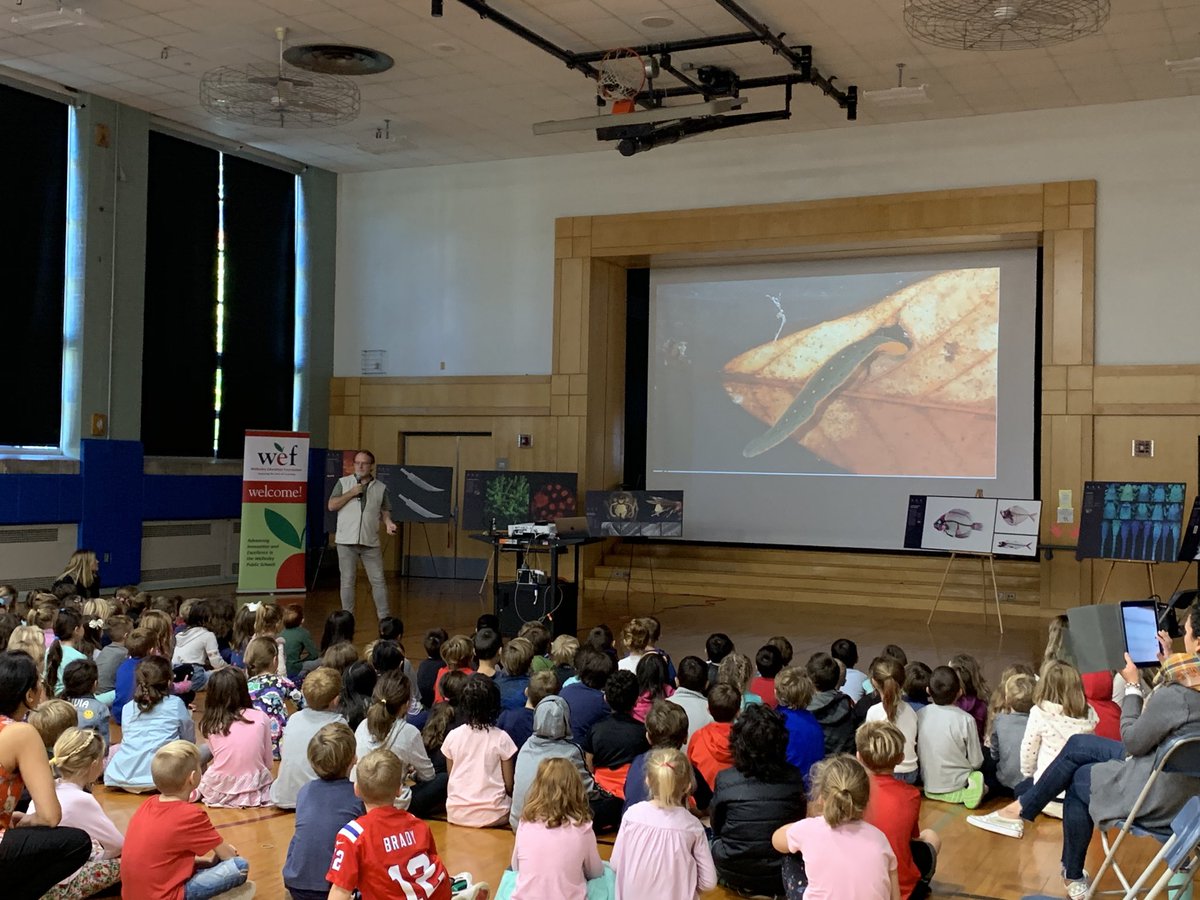 Batesprincipal's tweet photo. Dr Mark Siddall from the AMNH teaching us to see ourselves in STEM. Amazing presentation! https://t.co/YUxIjsTB0t