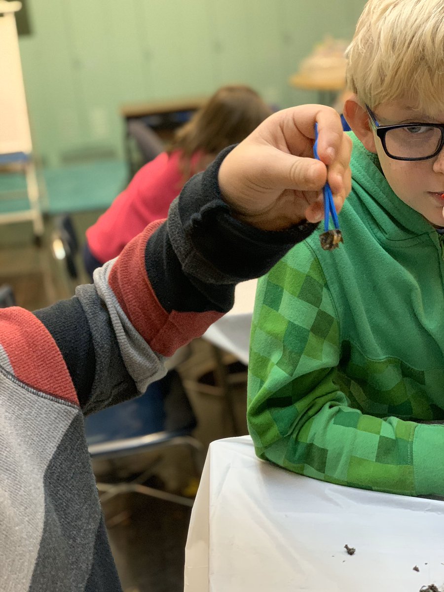 We are learning hands-on about bones using owl pellets!🦉#resthinks <a href="/JenniferWarden5/">Jennifer Warden</a> <a href="/jenbrown224/">Jennifer Brown</a> <a href="/RES_RSSS/">Rockwell Elem NC</a>