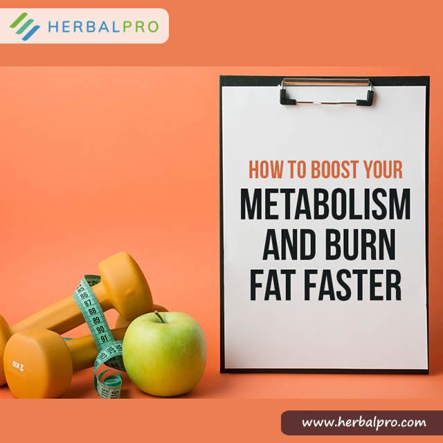 EZSlimNG's tweet photo. Metabolism is an important part of weight loss. Once your metabolism functions properly, your weight loss is easier. #easyweightloss #getfit #herbalweightloss #naturalweightmanagement. https://t.co/zhoDGos1vW #fitnesstip #healthylifestyle. https://t.co/1Ft65uJ0xz