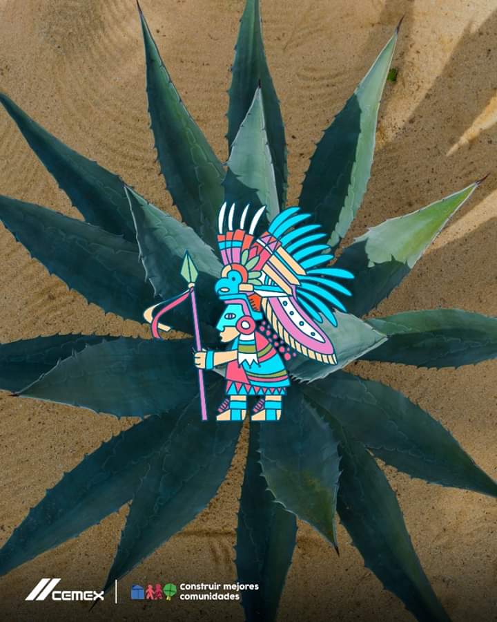 Julien15214533's tweet photo. ¿Ropa hecha con maguey? 🤯
Gracias a los restos arqueológicos descubrimos que nuestros antepasados, utilizaban la fibra del agave para crear mantas, sandalias, cuerdas y canastas.

Nos sentimos orgullosos de preservar esta icónica especie en nuestros Viveros CEMEX. https://t.co/Qnv92S5Juz