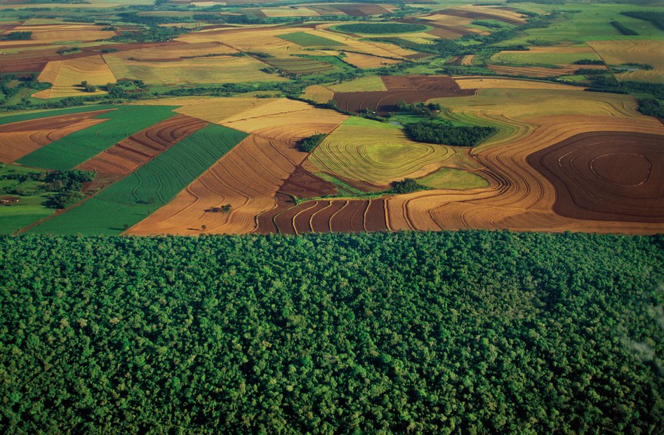 conscorridor's tweet photo. Land managers/planners: we have a new post that features research summarizing 250+ connectivity conservation plans from around the globe and what lessons can be learned from them. This is an excellent resource if you need examples of real-world plans! 

https://t.co/6vHrJtEPnm https://t.co/ZmVlDbwU0v