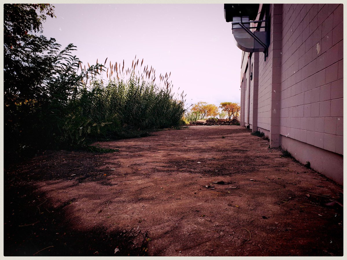 somestinkydude's tweet photo. Urban alleys. #226of365 #mobilephotography #kultcamera #emulmkII #lonelystreets #urbanphotography https://t.co/CsaegnS1xf