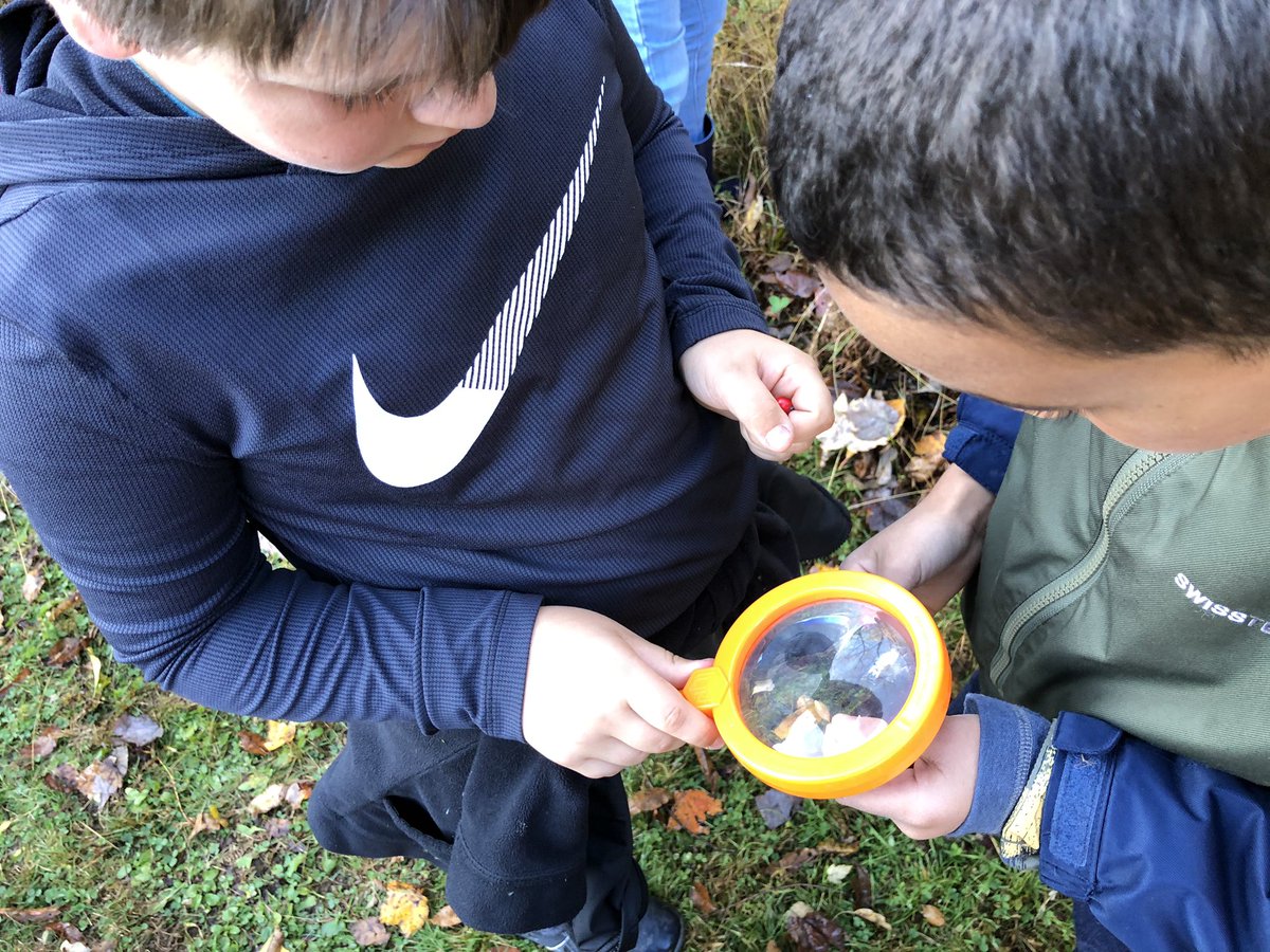 ErikLindemann_'s tweet photo. Happening now #FHNC - scientists in the field -collaborating, exploring, looking closely, documenting, making connections, &amp; finding examples of seed dispersal. @OsborneElem @osbornehsa #PZPGH https://t.co/KK2R4VsSwg