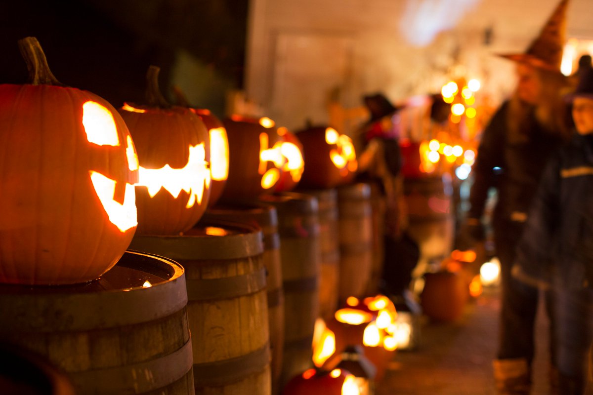 ExploreON's tweet photo. With Halloween fast approaching, why not spend an evening at @discoveryharbr? This historic site north of #Barrie will have a frightful TERROR ZONE, a spooky VIRTUAL COFFIN RIDE &amp; its own #PumpkinFerno. 🎃😱⚰️ #DiscoverON https://t.co/nPsjiWAG14