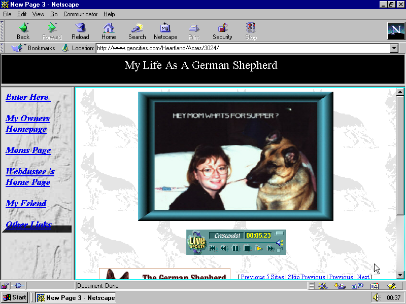 GIFmodel's tweet photo. First of A Day in One Terabyte of Kilobyte Age @merzakademie. We went through 744 pages I tagged "dog" last years. Now can state: 99 of them were made by dogs. And most passionate webmasters were/are German Shepherds (9 of 99). Sorry, Golden Retrievers (6)
https://t.co/JnHsZzLolJ https://t.co/1ZC72uhI6O