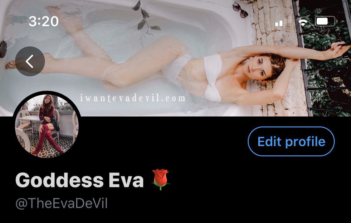 TheEvaDeVil's tweet image. A little profile switch up