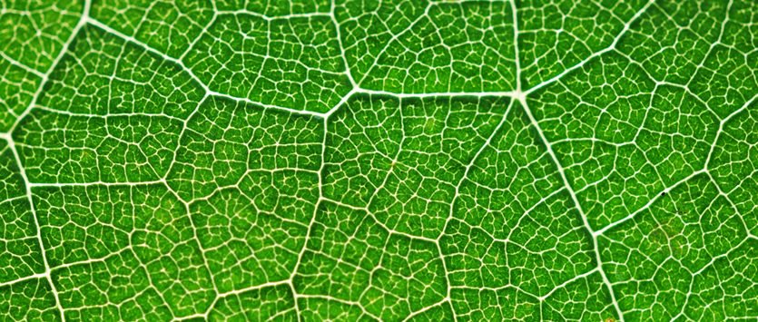 Newsletter n.228 #WeForGreen #Share: Dal Giappone un nuovo materiale cattura CO2
weforgreen.it/dal-giappone-u…