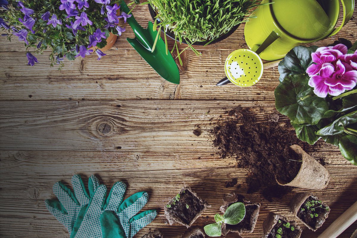 DprintWorldwide's tweet photo. Create A Beautiful Fall Garden With Our Vintage-Inspired Plant Stakes

Home and community gardeners in Florida have a beautiful, sun strewn growing season for the fruits and vegetable you and your family love. With vintage-inspired plant stakes, your ga... https://t.co/TIAz93TL5i https://t.co/DpWOq0l2df