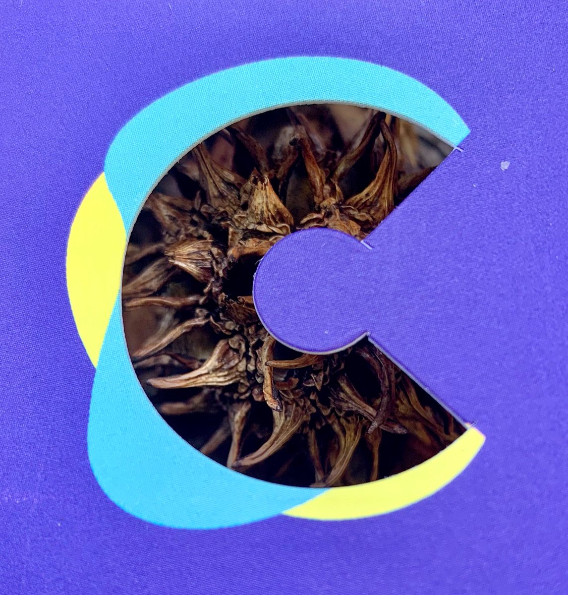 Guerrilla Productions LLC tweet media