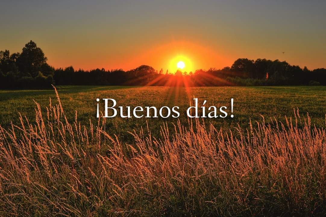PJRTorreon's tweet photo. ¡Muy buenos días !
#SoyPoderJoven https://t.co/rM8MH4JYDF