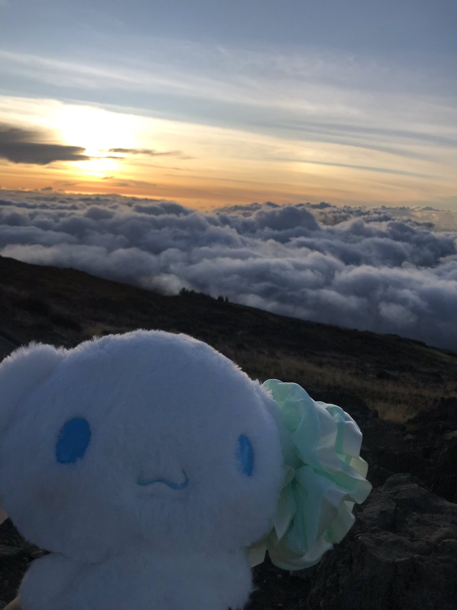 おしなロール☁️ (@cina47_mon) / Posts / X