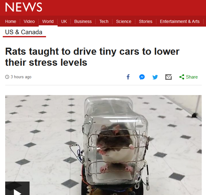 Jay Tholen tweet media