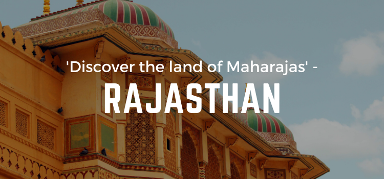 EnduringJ's tweet photo. Rajasthan Tour- There are numerous tourist attractions present in #Rajasthan that you must visit during your trip to Rajasthan. Check out some of the travel places here: https://t.co/sk08mkpVxf

#rajasthandiaries #rajasthantourpackages #rajasthantour #rajasthantours https://t.co/XdabRcOWX8