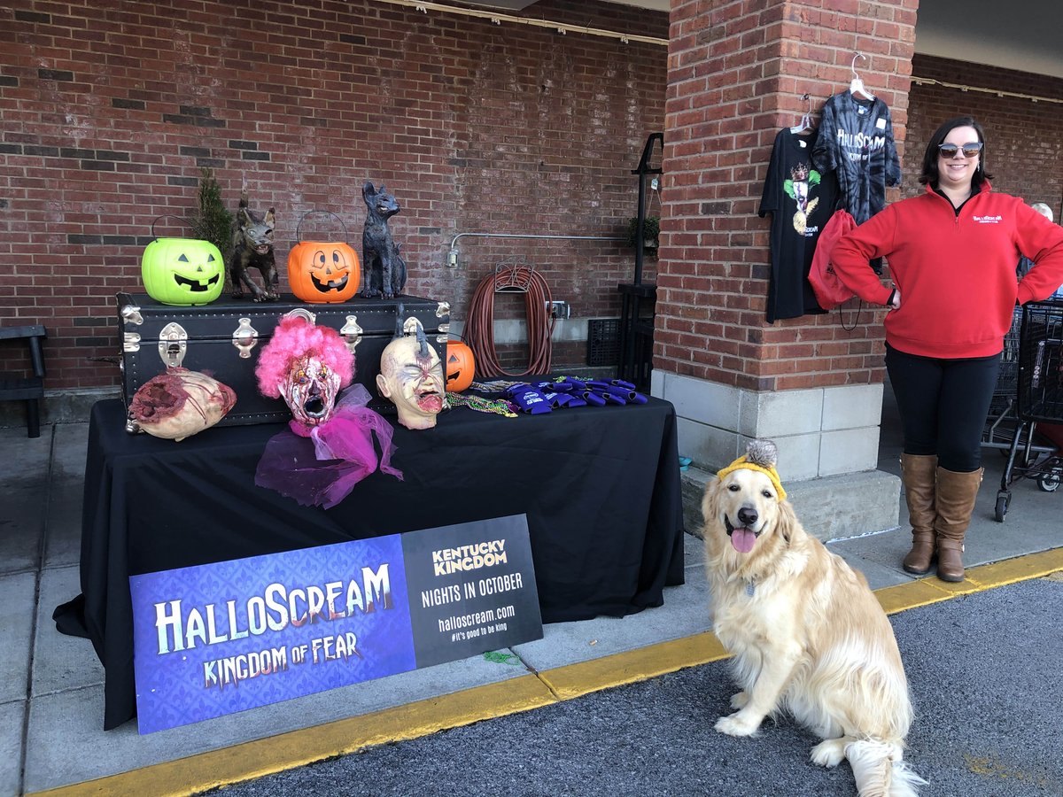 Oak Island Creative tweet media