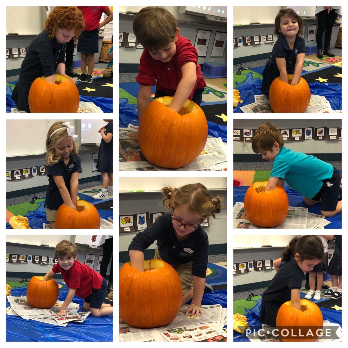 drifdavis's tweet image. Pumpkin exploration #davisme