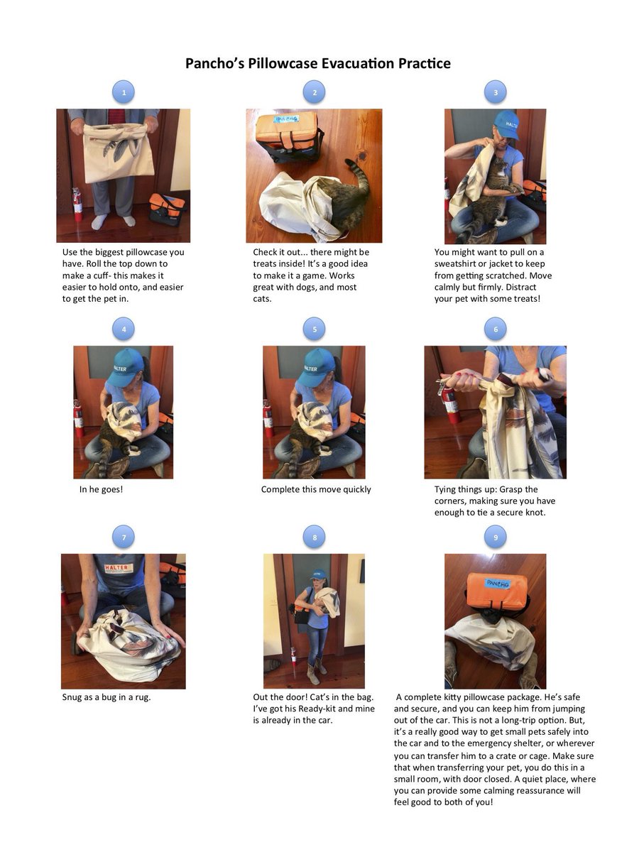 If you are in the #KincadeFire evacuation area and you need to take your cat or small pet but can’t find a carrier, grab a pillowcase and follow these instructions from Julie and Pancho.
