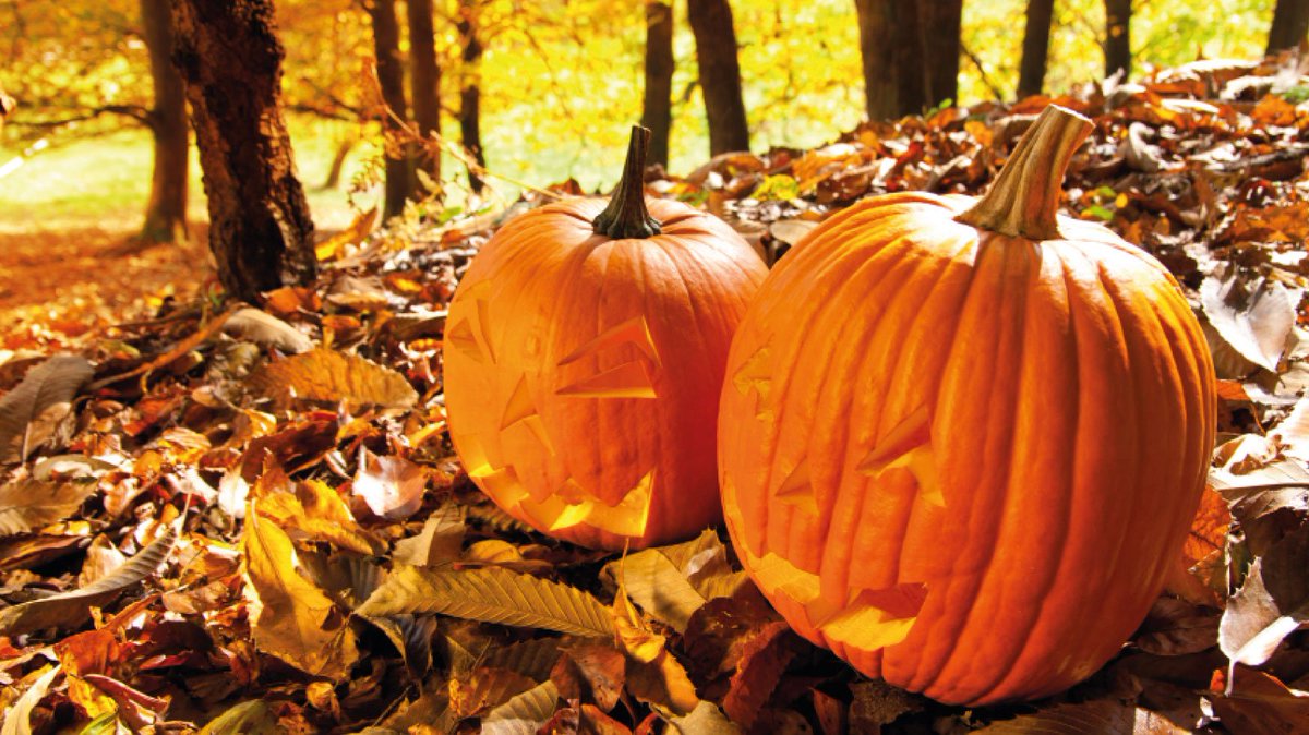 Coming to Belfast this Halloween? Here is what you can enjoy:
🎃Crumlin Road Gaol Ghost Trail
🎃Halloween activities on board HMS Caroline
🎃Let's go Hydro Halloween Festival
🎃Spooky Halloween at Ark Open Farm
Book your halloween break👉bit.ly/2GOCiSU