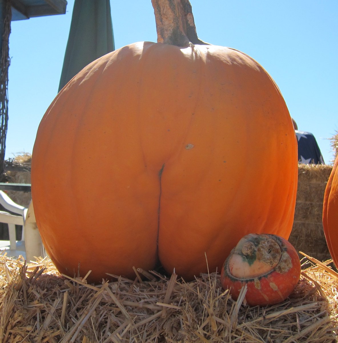 There's always at least one bumkin in every crowd.
