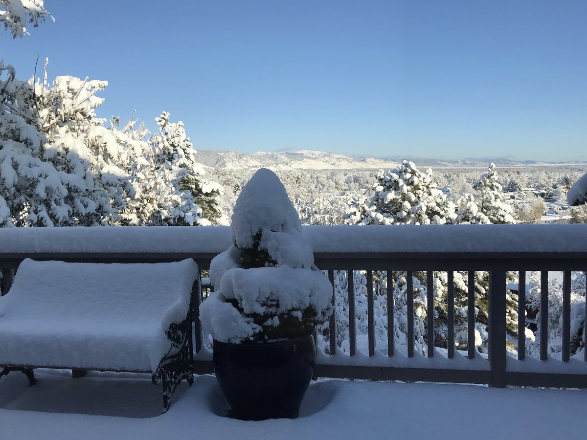 Searich07's tweet photo. 8” snow in South Boulder at 5600 feet https://t.co/l51fyp6HYd
