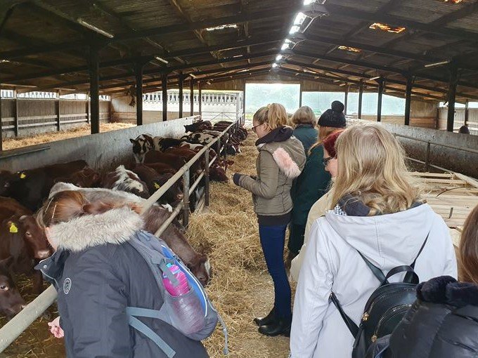 ChiuniEdu's tweet photo. Great session with primary teaching science specialists  yesterday. They explored the value of learning science concepts on a farm and got to welcome a newly born calf and name him Wilkinson as a “tribute” to their tutor. 
https://t.co/9bnsGk71AD #primaryscience #scienceconcepts https://t.co/eTR7quZoAh