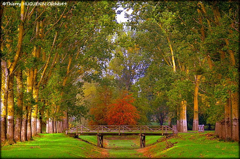 Cliches49's tweet photo. 📸🍂🍁Quand le parc De Balzac commence également à se couvrir de ses couleurs automnales...
#parcdebalzac #angers #couleursautomnales https://t.co/qUHu3CK9KY