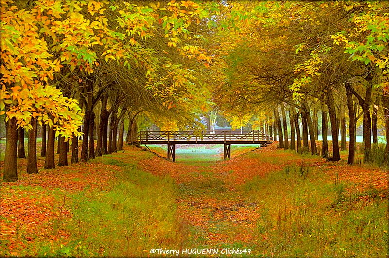Cliches49's tweet photo. 📸🍂🍁Quand le parc De Balzac commence également à se couvrir de ses couleurs automnales...
#parcdebalzac #angers #couleursautomnales https://t.co/qUHu3CK9KY