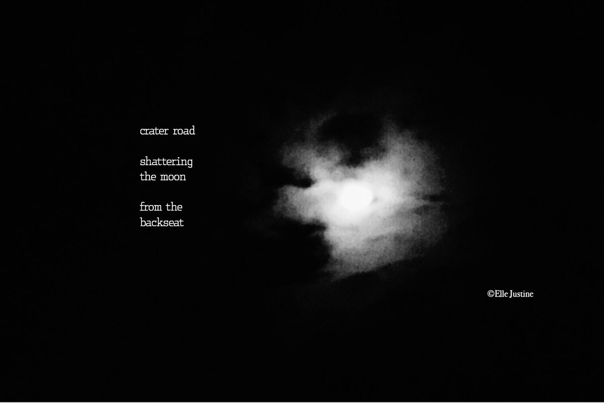 Elle Justine🥀 tweet media