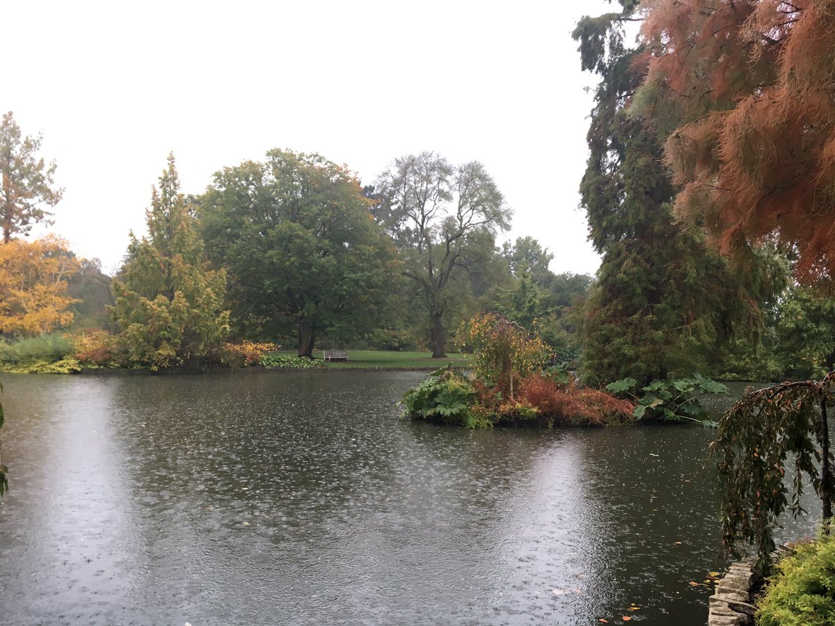 RuthEllul's tweet photo. Delightful wet grey autumnal day @RHSWisley today with the turning leaves burnished and sun-kissed. Great induction from all the team! https://t.co/OZGH1BZGxF