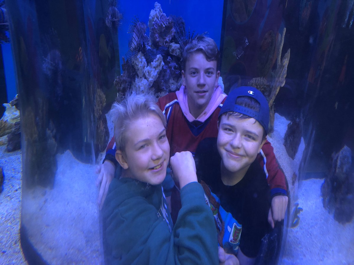 Such an amazing day with our Grade 6/7/8 students in Toronto. They were very well behaved and respectful. We even received compliments from the public on how great they were in the theatre.  Very proud of our students. Thank you for such a great day students.  <a href="/AndrewHunterES/">Andrew Hunter E.S. #scdsbBestKeptSecret</a>