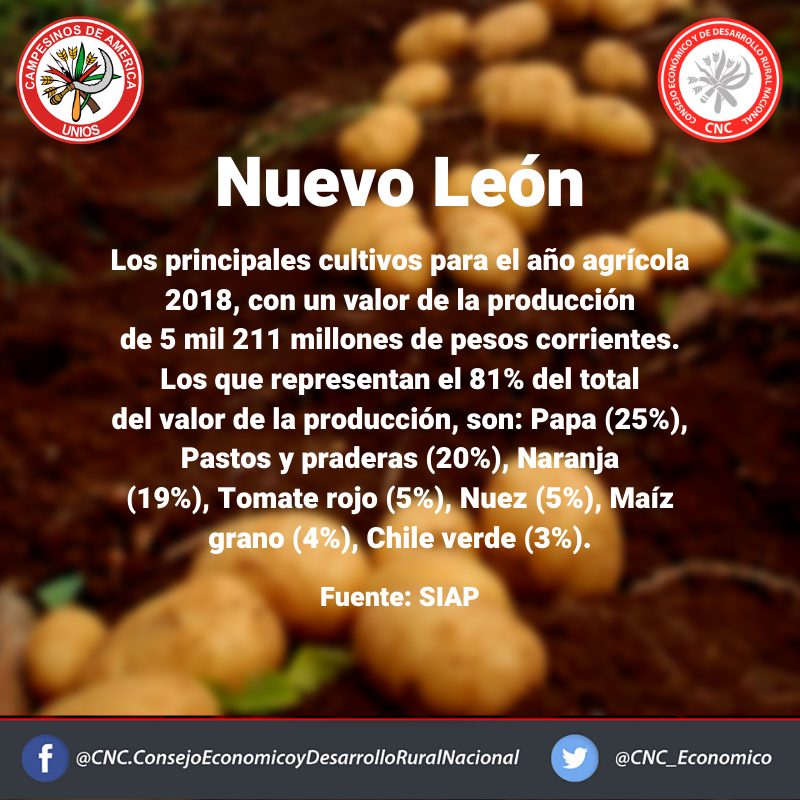 CNC_Economico's tweet photo. De camino a Nuevo León para llevar a cabo la Instalación Consejo Económico y de Desarrollo Rural Estatal, compartimos datos de la producción agropecuaria del estado. #UnidosPorElCampo @CNC_CEN @JaimeAlmonteA @CNC_NuevoLeon @VanguardiaCEN  @accionfemenilc1  @uanje https://t.co/v5jPkNIhDp