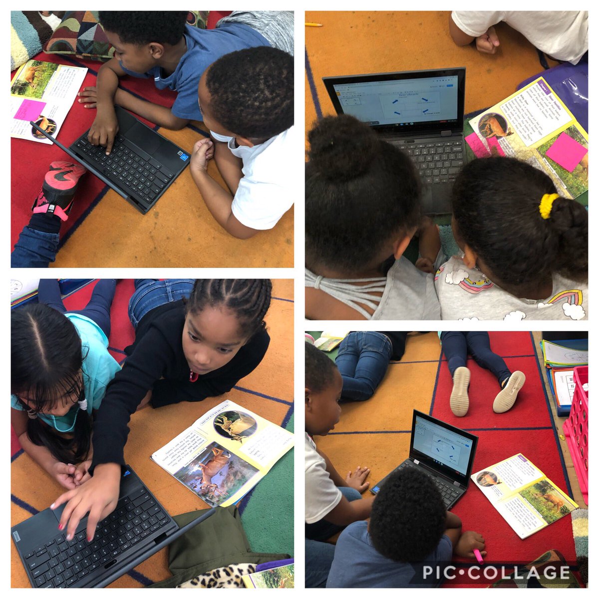 Laura Eigel tweet media